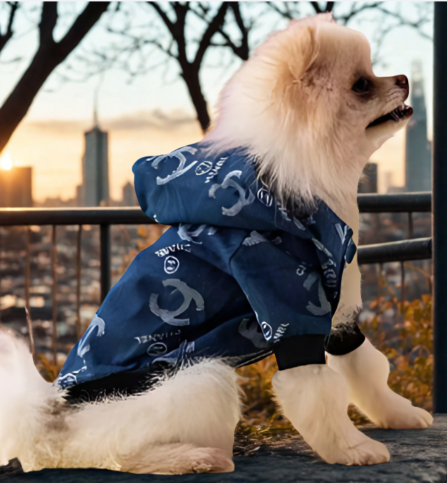 Chanel Denim Zipper Hoodie Jacket