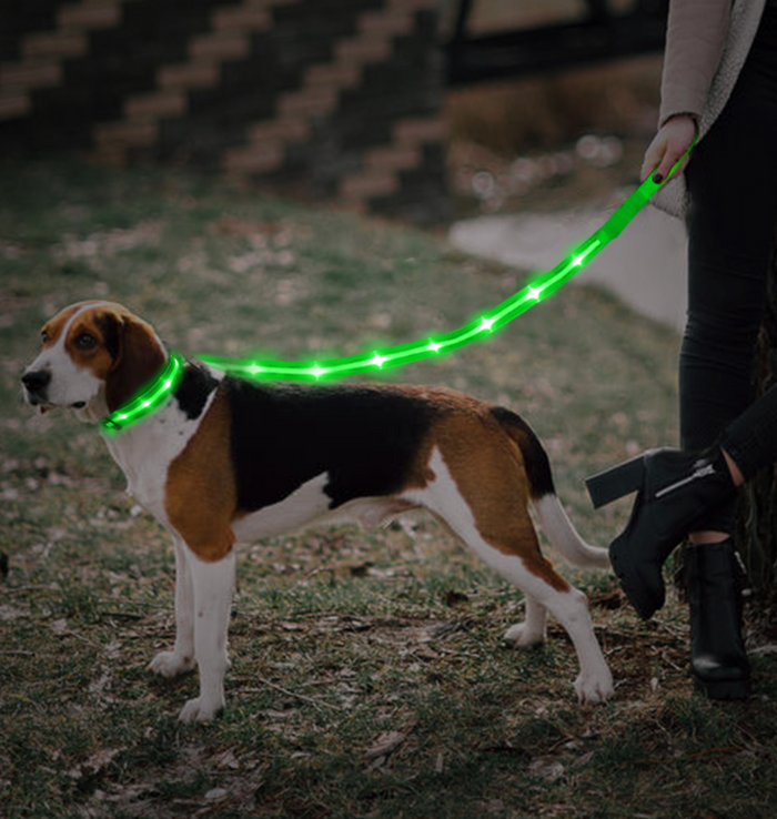 Rechargeable LED Leash + Collar Set