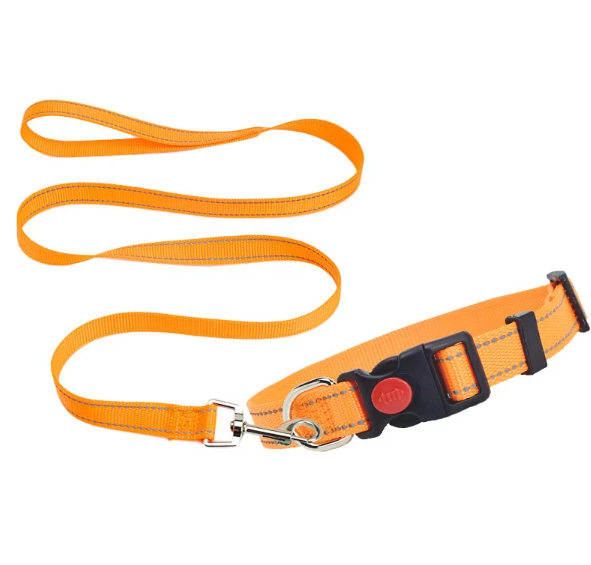 Nylon Reflective Dog Collar & Leash Set