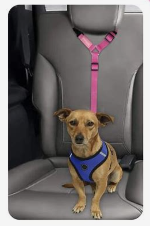 Headrest Paw Safe Buckle