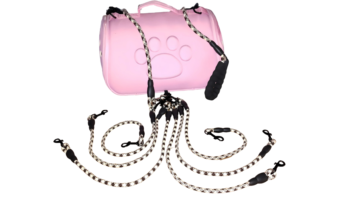 3, 4, 5, or 6 Lead Leash