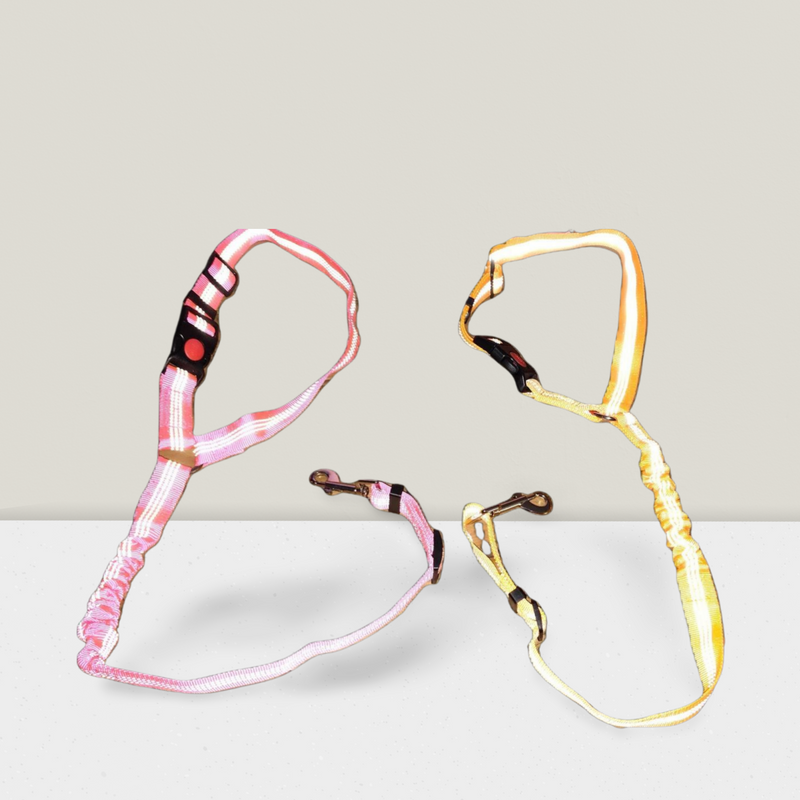 Headrest Paw Safe Buckle