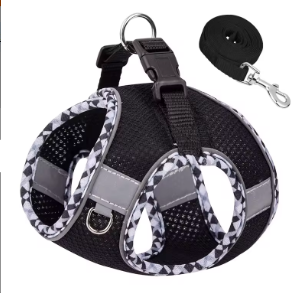 Harness & Leash Set