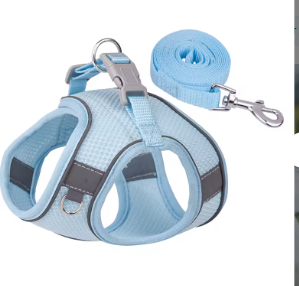 Harness & Leash Set