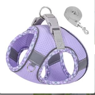 Harness & Leash Set