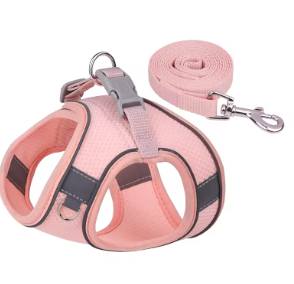 Harness & Leash Set