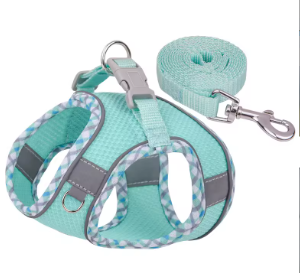 Harness & Leash Set
