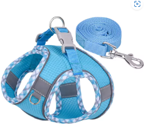 Harness & Leash Set