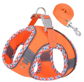 Harness & Leash Set
