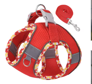 Harness & Leash Set