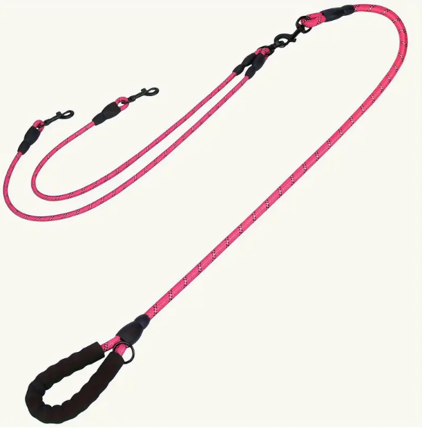 Two Lead Leash
